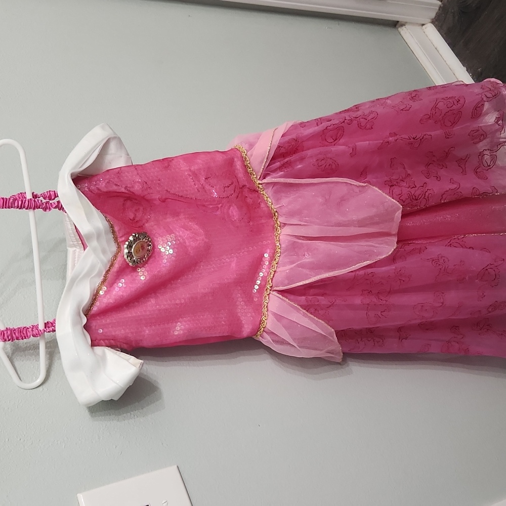 Aurora dress costume